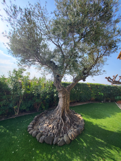 Image No.39-4 Bed Villa for sale