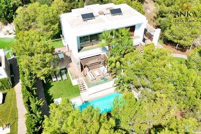 batch-Acacia-5--Las-ColinasDJI_20250904154557_0041_D