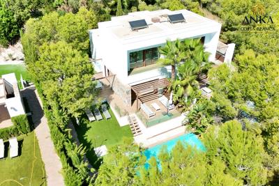 batch-Acacia-5--Las-ColinasDJI_20250904154635_0043_D