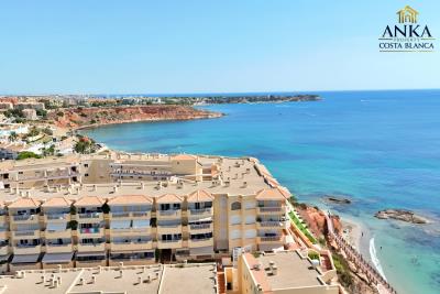 batch-Mirador-de-Aguamarina---Campoamor---365k--DroneDJI_20250828120002_0035_D