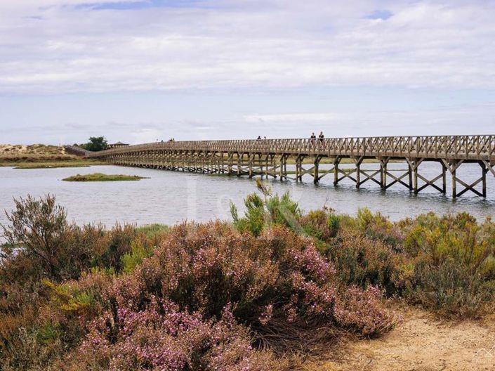 Image No.13-Maison de 2 chambres à vendre à Tavira