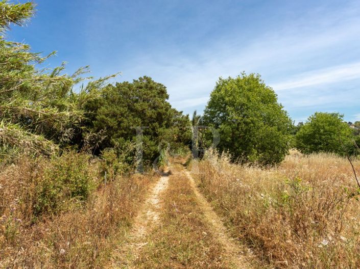 Image No.44-7 Bed Farmhouse for sale