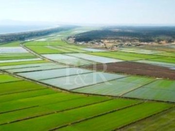 id31e77b01-0000-0500-0000-0000130518cb