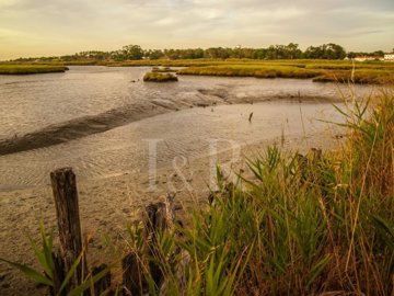 id31e77b01-0000-0500-0000-000013d7e91c