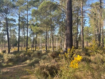 id31e77b01-0000-0500-0000-0000130518cd