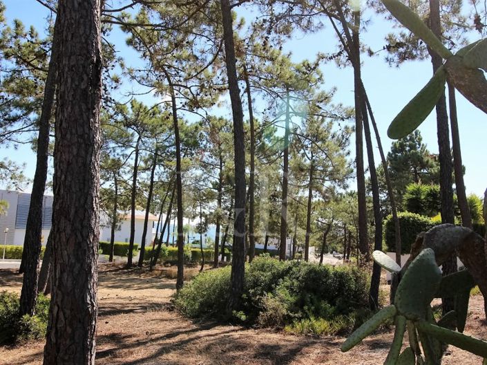 Image No.23-Maison de 5 chambres à vendre à Grândola