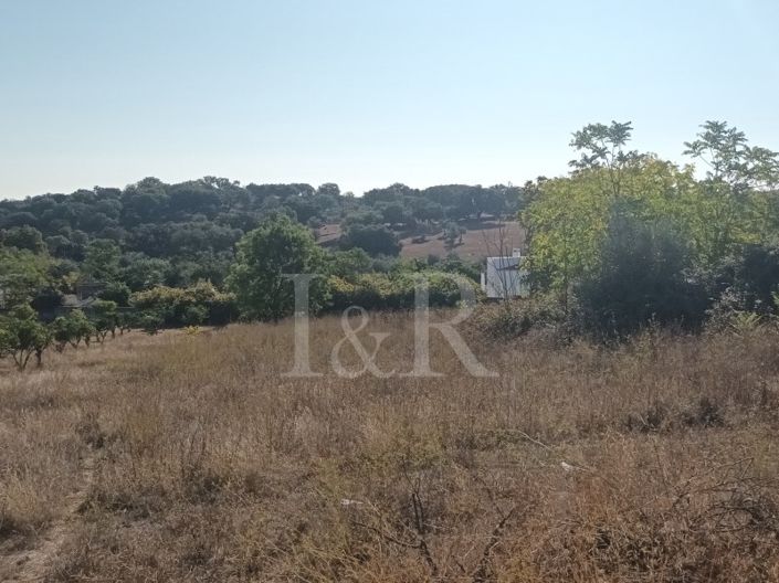 Image No.10-Plot for sale