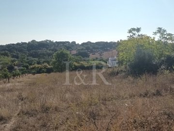 id58937101-0000-0500-0000-000011fac464