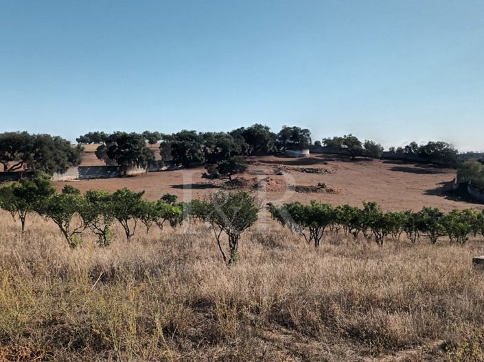 Image No.11-Plot for sale