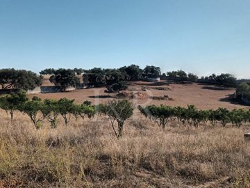 id58937101-0000-0500-0000-000011fac465