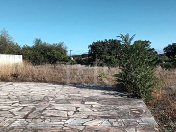 id58937101-0000-0500-0000-000011fac468