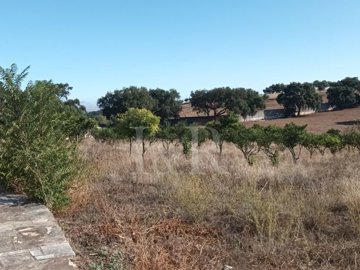 id58937101-0000-0500-0000-000011fac46b