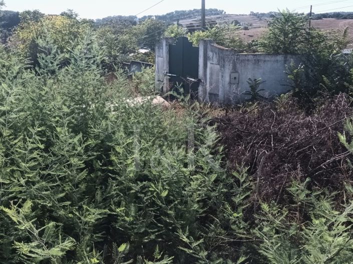 Image No.19-Plot for sale