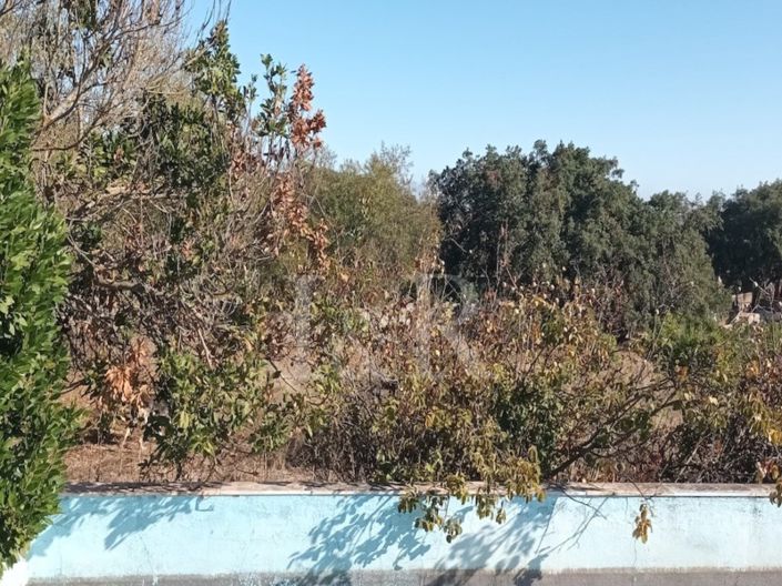 Image No.2-Plot for sale