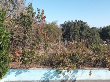 id58937101-0000-0500-0000-000011fac457