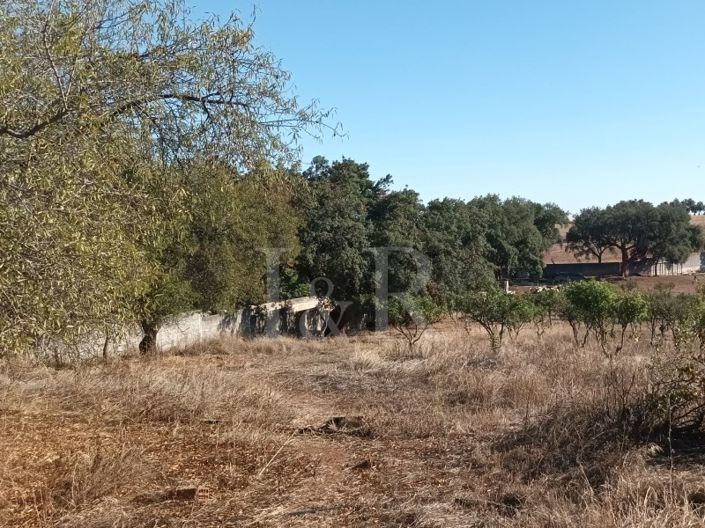 Image No.20-Plot for sale