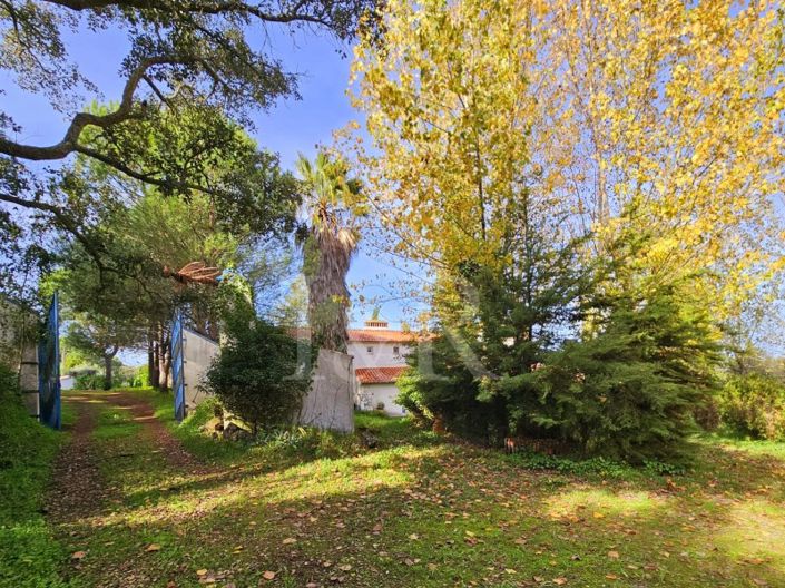 Image No.21-Ferme de 10 chambres à vendre à Montemor-o-Novo