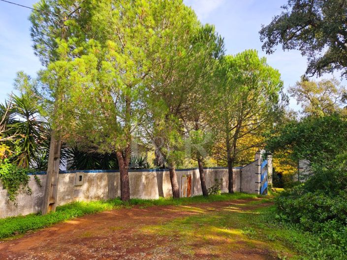 Image No.6-Ferme de 10 chambres à vendre à Montemor-o-Novo