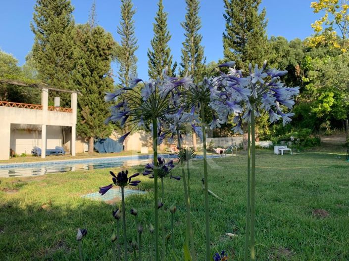 Image No.22-Ferme de 10 chambres à vendre à Montemor-o-Novo