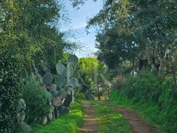 id999baa01-0000-0500-0000-000016e8e9a1