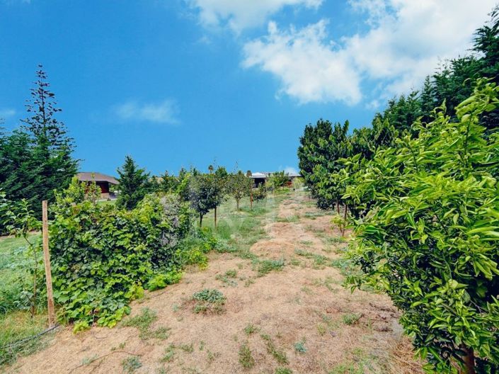 Image No.52-Maison de 3 chambres à vendre à Montijo