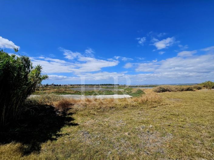 Image No.56-Maison de 3 chambres à vendre à Montijo