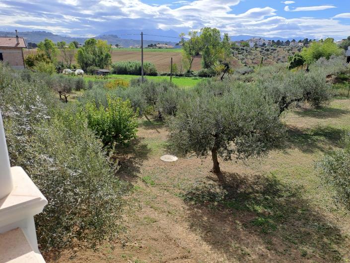 Image No.34-Maison / Villa de 2 chambres à vendre à Collecorvino