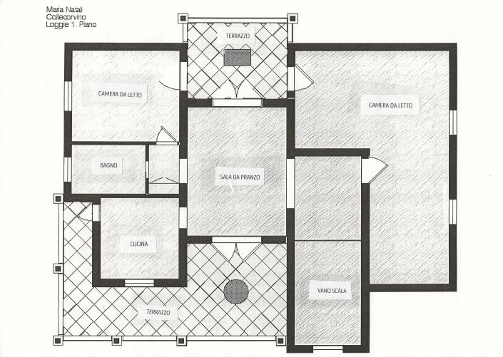 Image No.1-floorplan-1