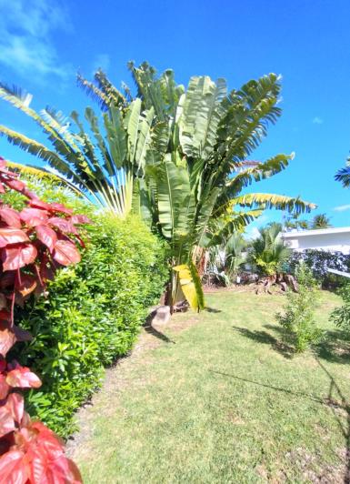 Image No.35-Appartement de 1 chambre à vendre à St James