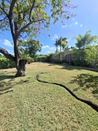 Image No.33-Appartement de 1 chambre à vendre à St James