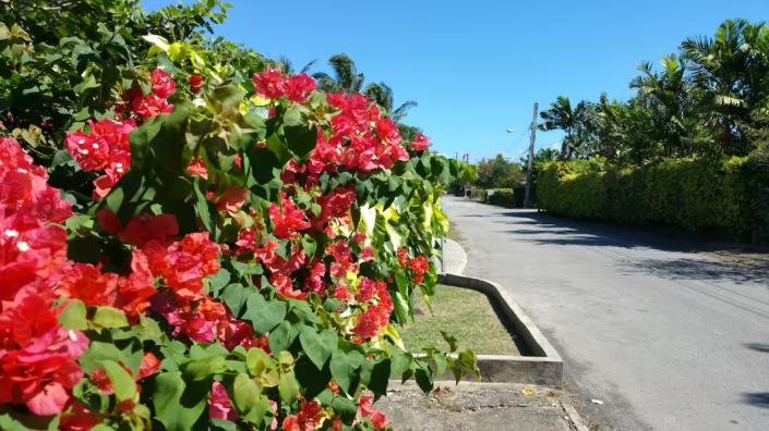 Image No.30-Appartement de 1 chambre à vendre à St James