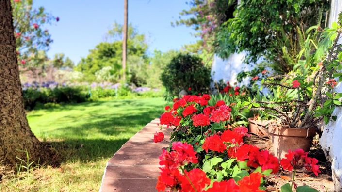 Image No.17-Villa de 6 chambres à vendre à Algeciras