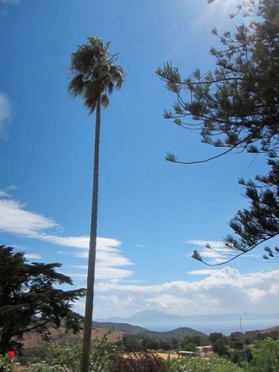 Image No.18-Villa de 6 chambres à vendre à Algeciras