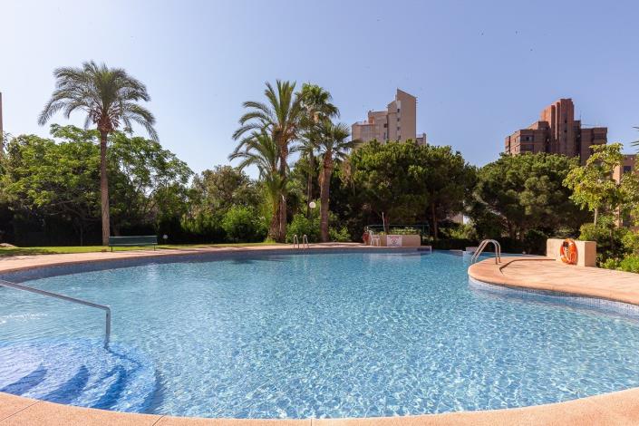 Image No.6-Appartement de 1 chambre à vendre à Benidorm