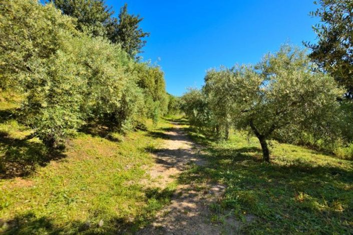 Image No.21-Maison de campagne de 5 chambres à vendre à Cadix