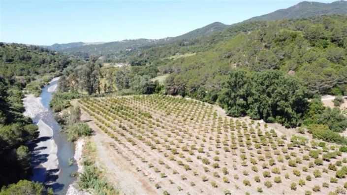 Image No.4-10 Bed Property for sale