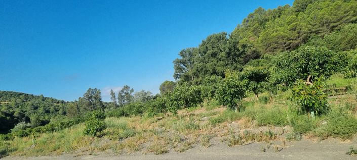 Image No.40-10 Bed Property for sale