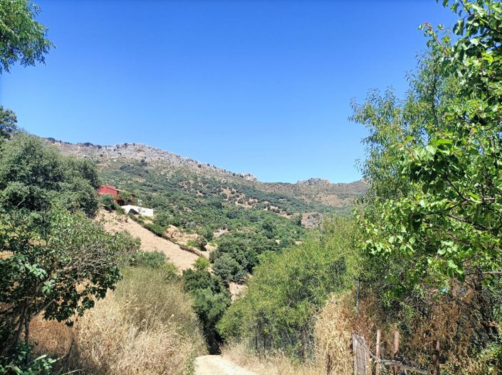 Image No.17-Maison de campagne de 3 chambres à vendre à Malaga