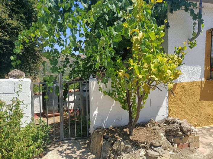 Image No.19-Maison de campagne de 3 chambres à vendre à Malaga