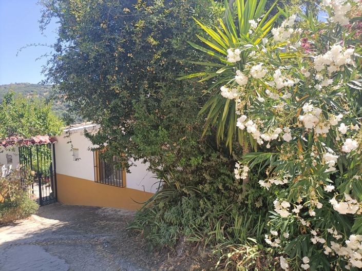 Image No.21-Maison de campagne de 3 chambres à vendre à Malaga