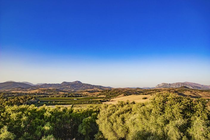 Image No.3-Propriété de 4 chambres à vendre à Jimena de la Frontera