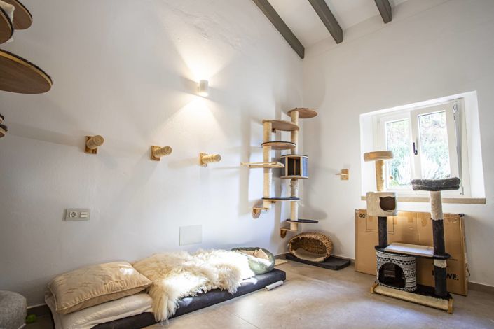 Image No.30-Propriété de 4 chambres à vendre à Jimena de la Frontera