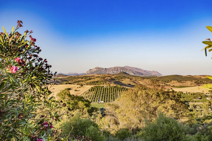 Image No.44-Propriété de 4 chambres à vendre à Jimena de la Frontera