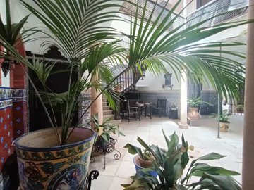 zontst4ngtx728ybh592symj4blxfnyb