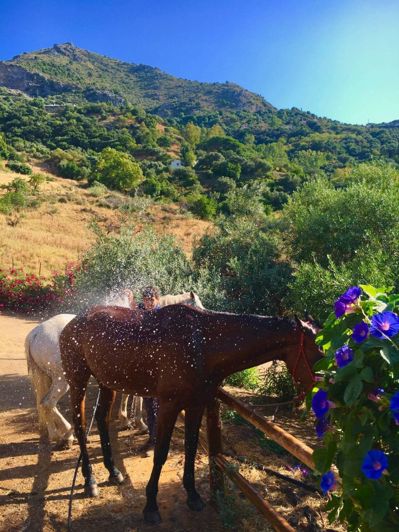 Image No.43-5 Bed Property for sale