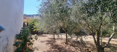 viexzpmxrztxacgetgk0chxlyvarrbat