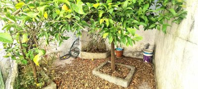 myzvasfsprkminn93geqnu9ddr46amd3