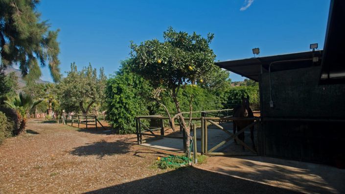 Image No.11-Maison de campagne de 3 chambres à vendre à Estepona