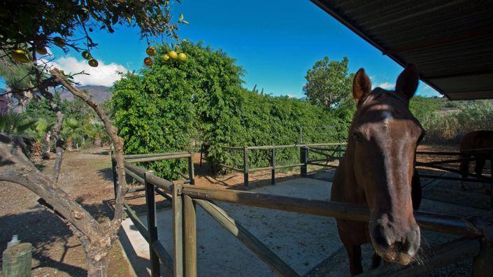 Image No.16-Maison de campagne de 3 chambres à vendre à Estepona