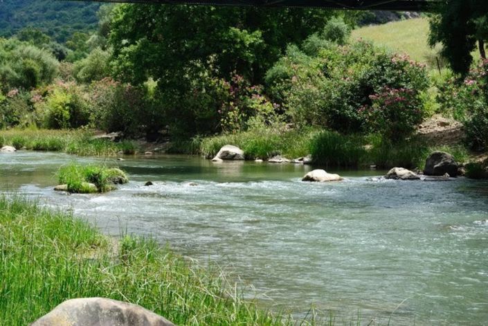 Image No.28-Maison de village de 5 chambres à vendre à Cortes de la Frontera